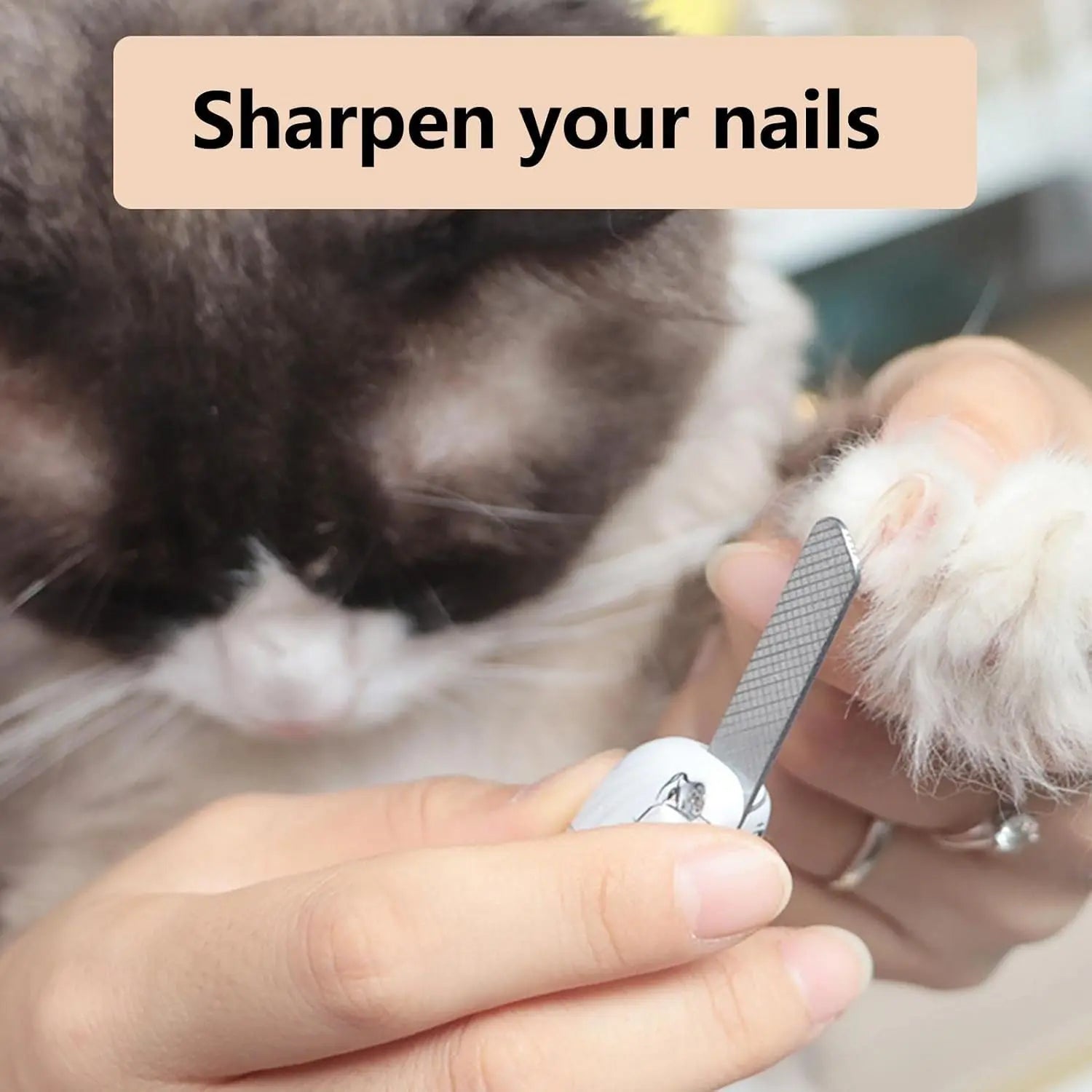 2 in 1 Pet Nail Clipper, with LED Light for Pet with the Light Nails,Precise Cat & Dog Nail Trimmer for Safe Summervibes