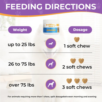HAPWAG 8-In-1 Probiotics for Dogs - Pork Flavor Chewable Treats, Gut Health, Digestive & Immune Support, Premium-Quality Ingredients, 90 Count Canine Nutritional Supplement