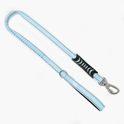 Dog Friendly Co. Bungee Dog Leash – Shock Absorbing, Reflective & Heavy Duty with Traffic Handle & Padded Grip Dog Leash