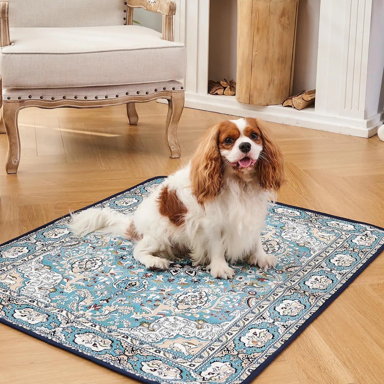 Qeils 36"X41" Washable Puppy Pee Pads | Super Absorbent, Waterproof & Reusable Non-Slip Training Mat for Floor/Crate Pet Supplies Poodle Dogs#Summervibes #Petlovers
