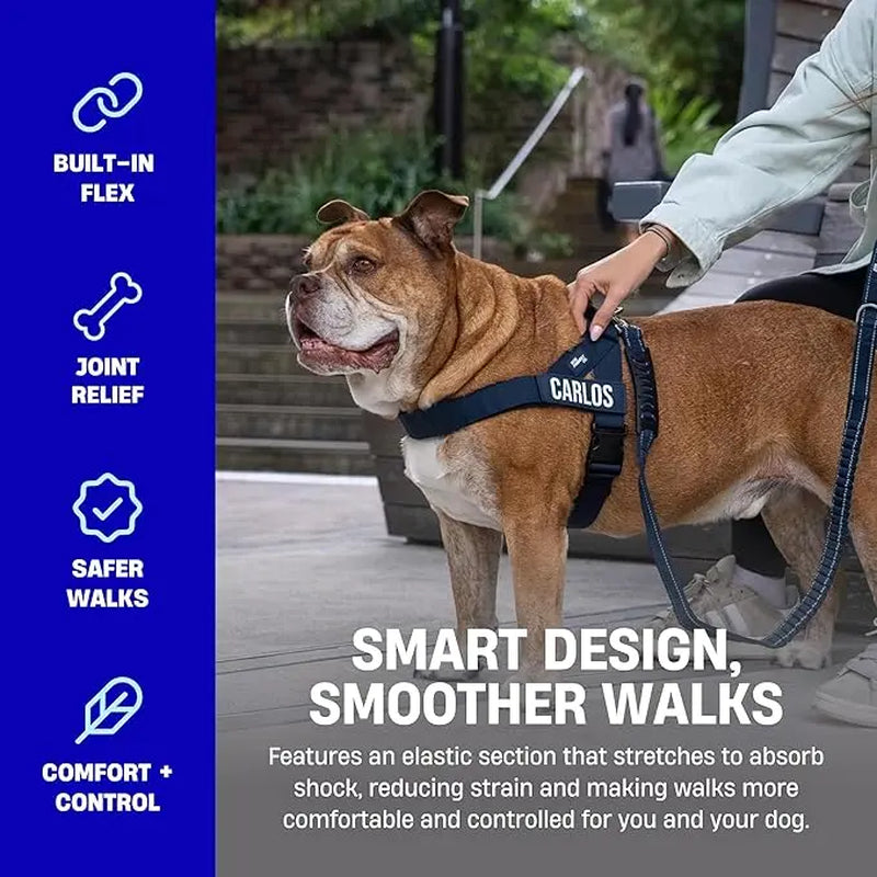 Dog Friendly Co. Bungee Dog Leash – Shock Absorbing, Reflective & Heavy Duty with Traffic Handle & Padded Grip Dog Leash