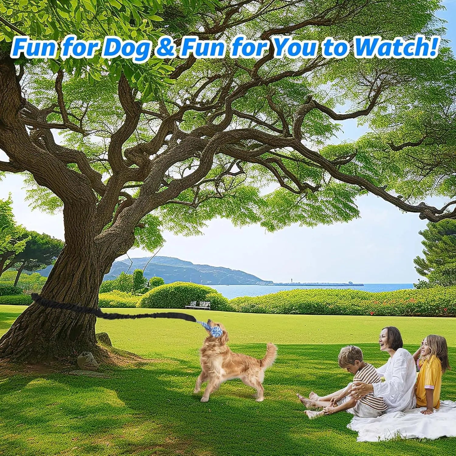 Spring Pole Rope Toys - Tug of War for Pitbull Medium to Large Dogs, Indoor Outdoor Use Bungee Exercise Ropes Builder Interactive Toys (Door Style)
