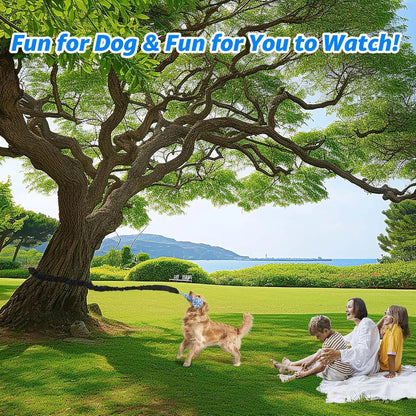 Spring Pole Rope Toys - Tug of War for Pitbull Medium to Large Dogs, Indoor Outdoor Use Bungee Exercise Ropes Builder Interactive Toys (Door Style)