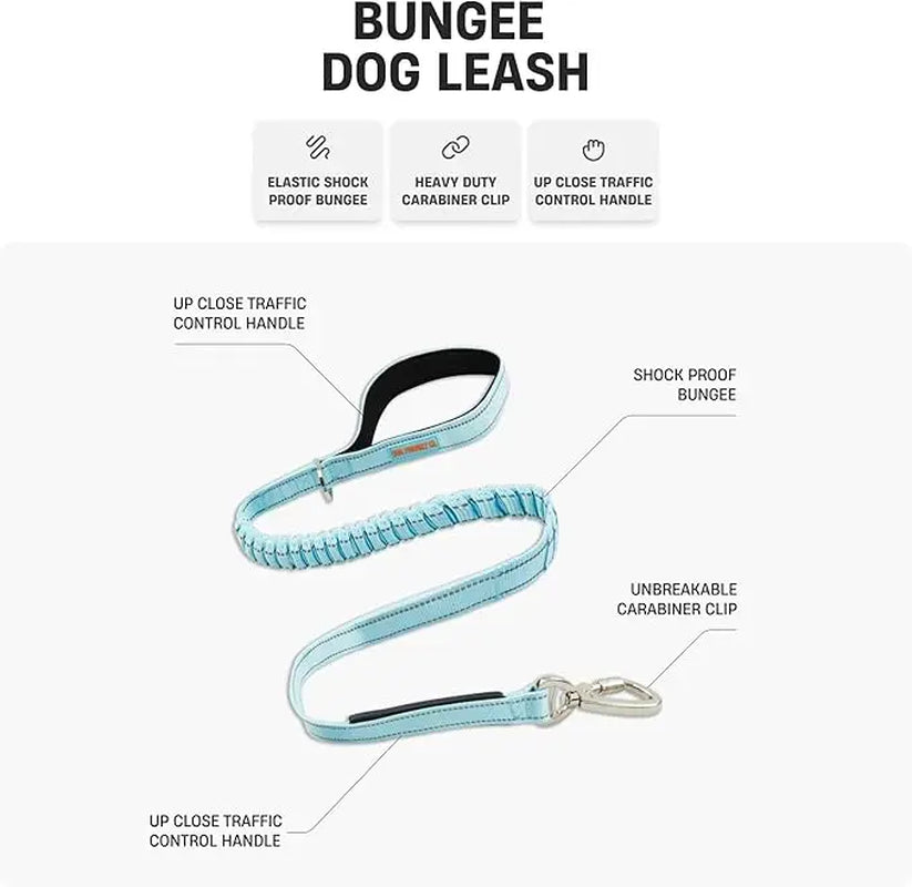 Dog Friendly Co. Bungee Dog Leash – Shock Absorbing, Reflective & Heavy Duty with Traffic Handle & Padded Grip Dog Leash