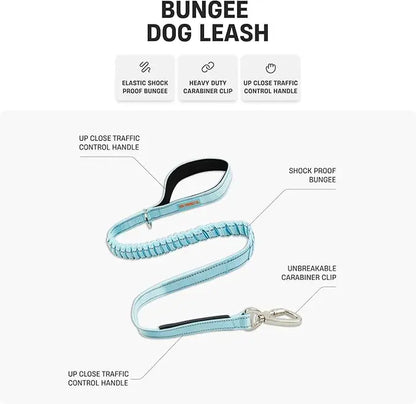 Dog Friendly Co. Bungee Dog Leash – Shock Absorbing, Reflective & Heavy Duty with Traffic Handle & Padded Grip Dog Leash