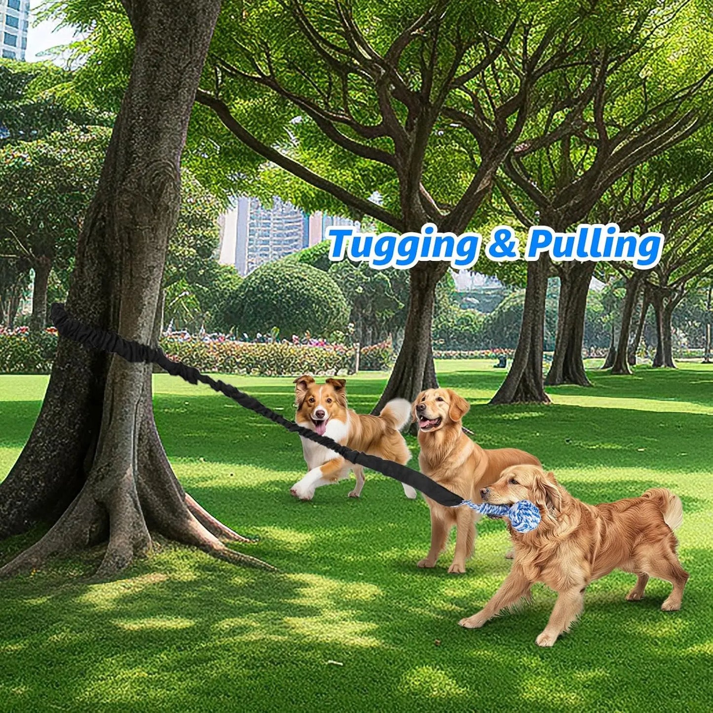 Spring Pole Rope Toys - Tug of War for Pitbull Medium to Large Dogs, Indoor Outdoor Use Bungee Exercise Ropes Builder Interactive Toys (Door Style)