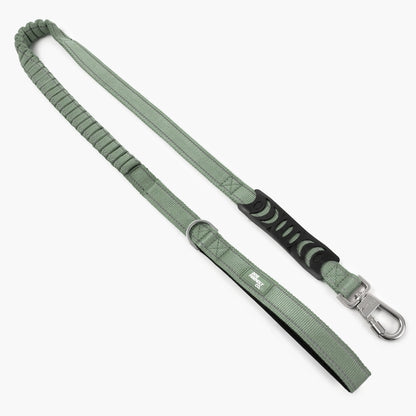 Dog Friendly Co. Bungee Dog Leash – Shock Absorbing, Reflective & Heavy Duty with Traffic Handle & Padded Grip Dog Leash