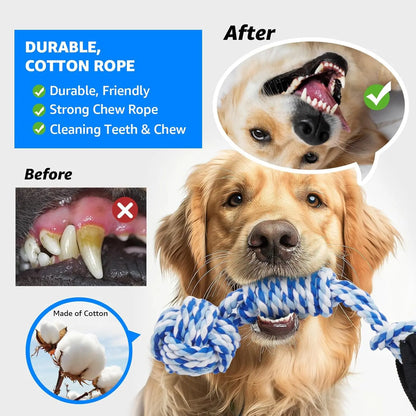 Spring Pole Rope Toys - Tug of War for Pitbull Medium to Large Dogs, Indoor Outdoor Use Bungee Exercise Ropes Builder Interactive Toys (Door Style)