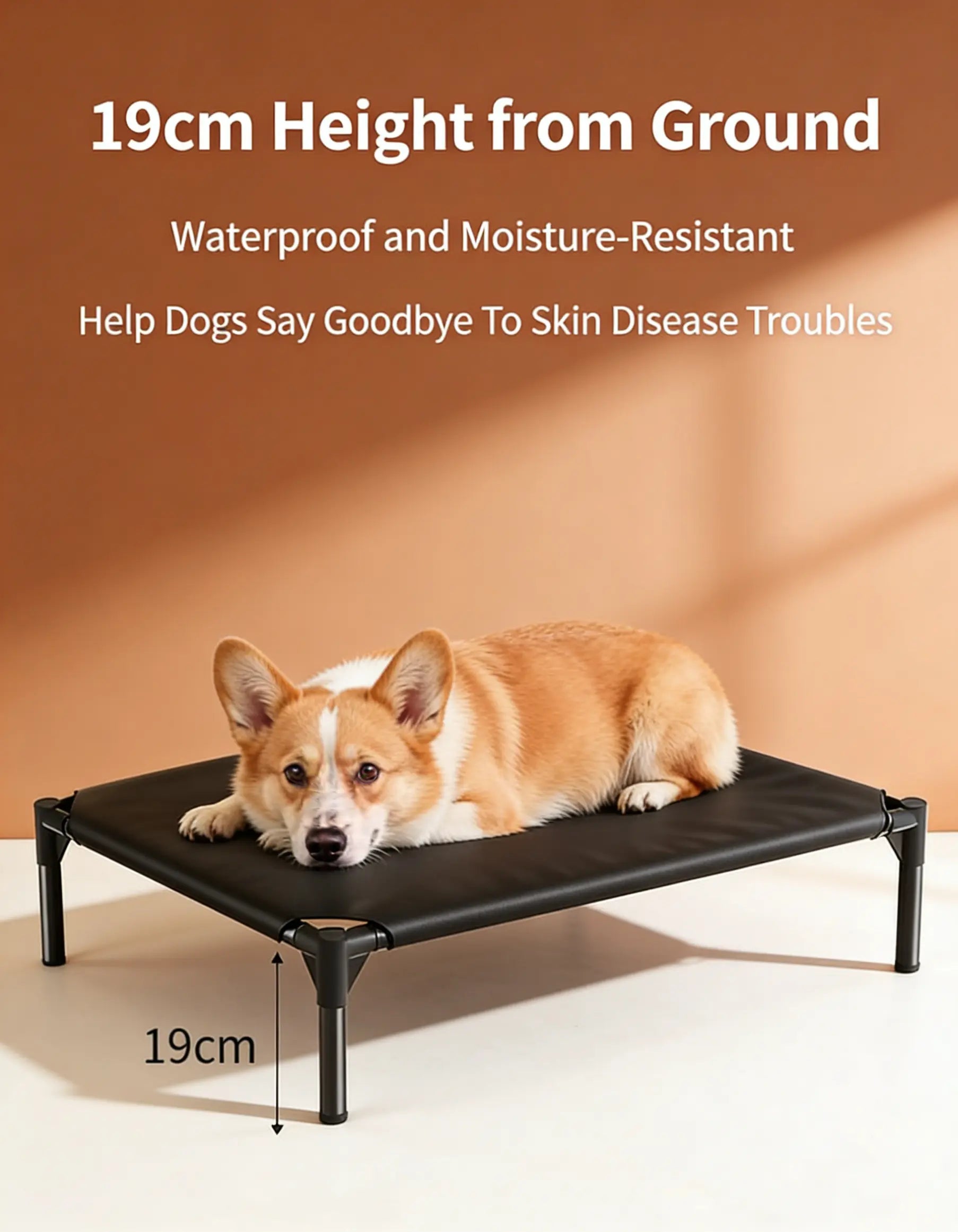 Elevated Dog Bed for Large Dogs, Portable Raised Dog Cot with Breathable Mesh, Supports up to 90Lbs, Foldable Elevated Pet Bed for Indoor & Outdoor Use Belgian Malinois,Summervibes