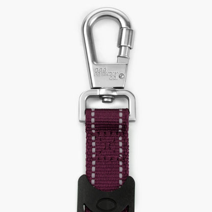 Dog Friendly Co. Bungee Dog Leash – Shock Absorbing, Reflective & Heavy Duty with Traffic Handle & Padded Grip Dog Leash