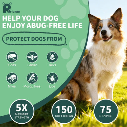 Dog Flea & Tick Support Soft Chews - Natural Oral Supplement - Suitable for All Breeds & Sizes - 150 Chicken Treats#Summervibes#Petlovers Tiktokshopspringglowup