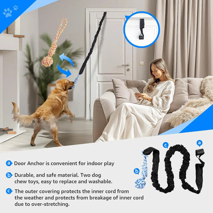 Spring Pole Rope Toys - Tug of War for Pitbull Medium to Large Dogs, Indoor Outdoor Use Bungee Exercise Ropes Builder Interactive Toys (Door Style)