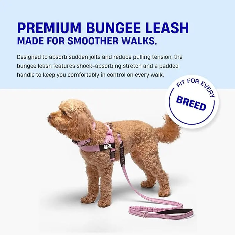 Dog Friendly Co. Bungee Dog Leash – Shock Absorbing, Reflective & Heavy Duty with Traffic Handle & Padded Grip Dog Leash